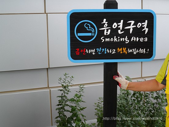 나무그래픽 이미지