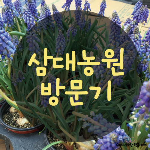 삼대농원 이미지