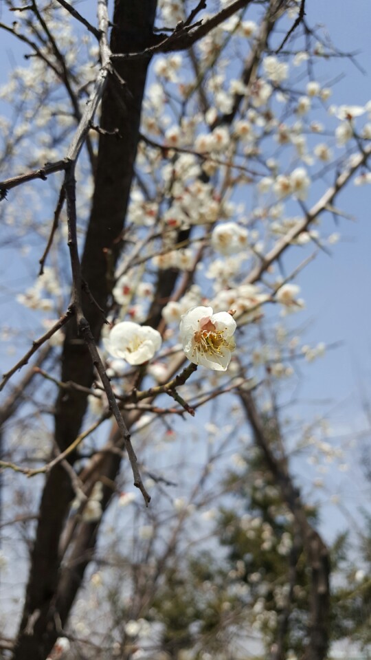 더대박 이미지