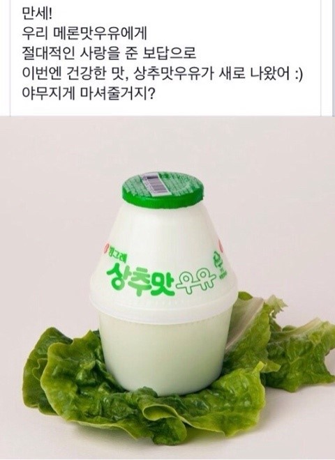 빙그래 이미지