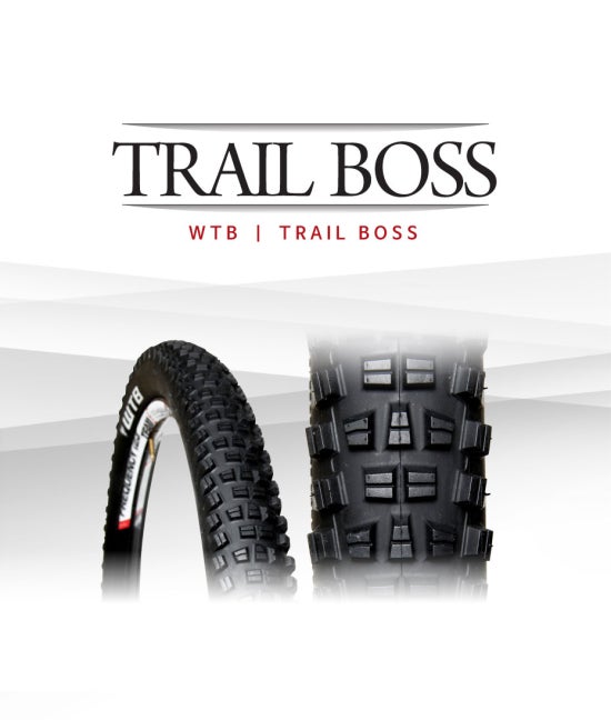 트레일(Trail) 이미지