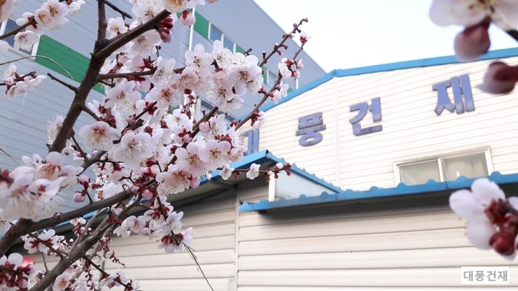 대풍건재 이미지