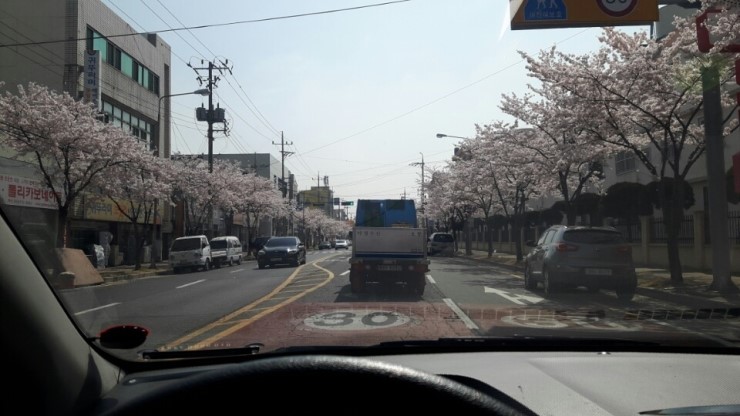 홍이여행사 이미지