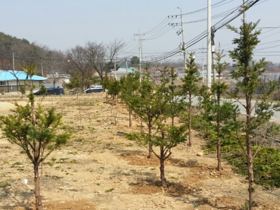 참옻지장수연구소 이미지