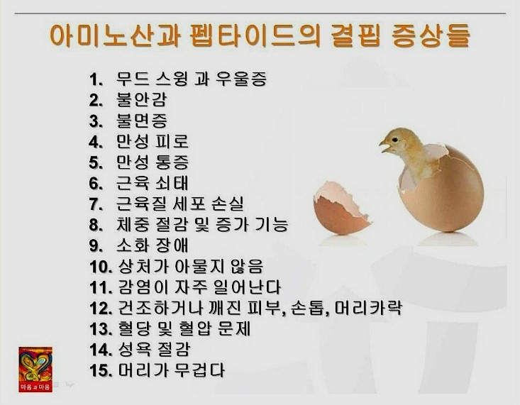 팜라이프 이미지