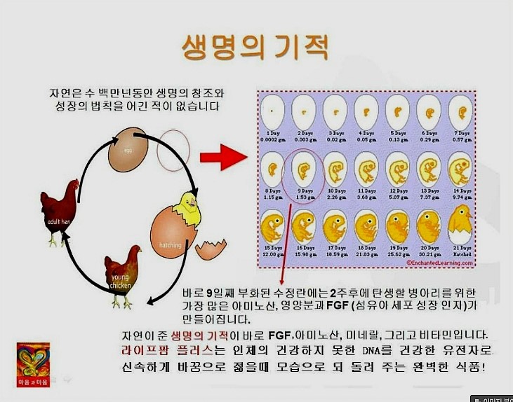 팜라이프 이미지