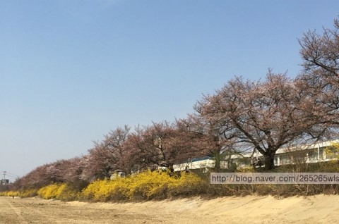 무심천 마트 이미지