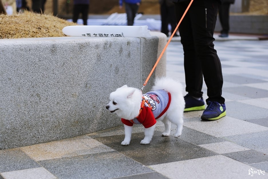 리얼야구장편의점 이미지