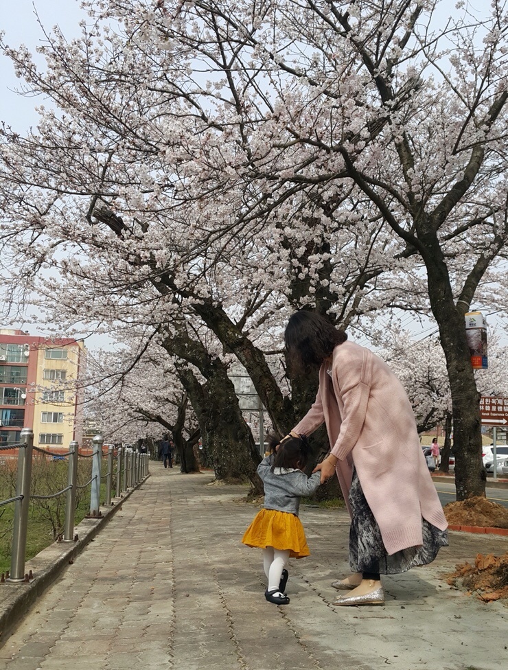 박사수산 이미지