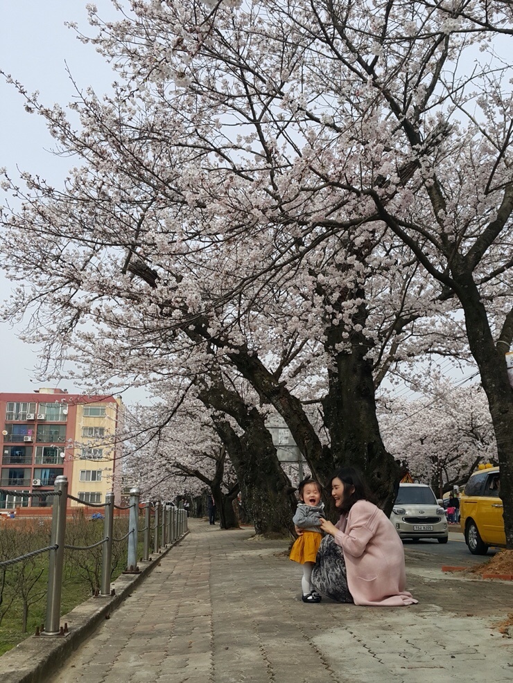 박사수산 이미지