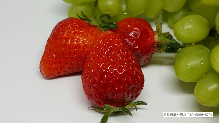 인삼마을벌꿀 이미지
