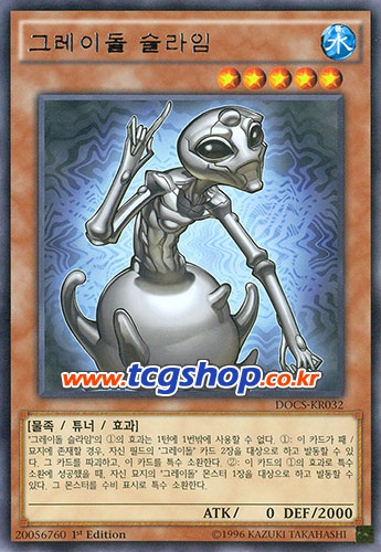 그레이디멘션 이미지