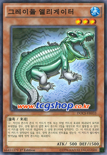 그레이디멘션 이미지