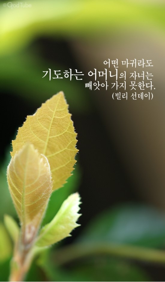 좋은문구 이미지