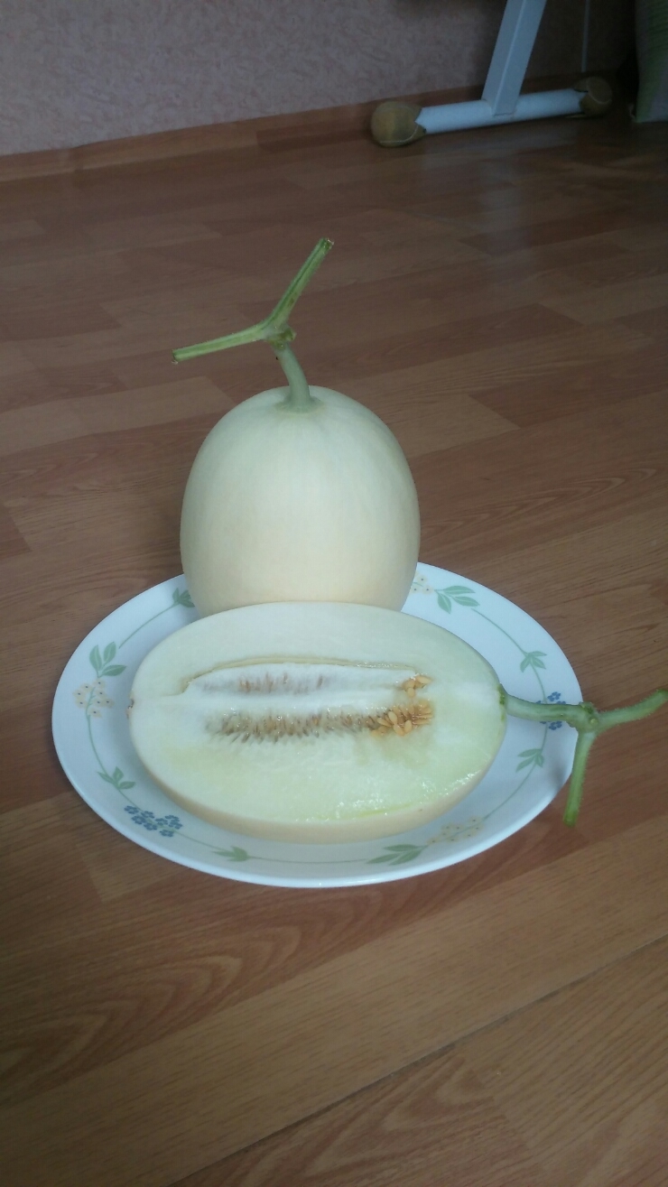 오얏골농원 이미지