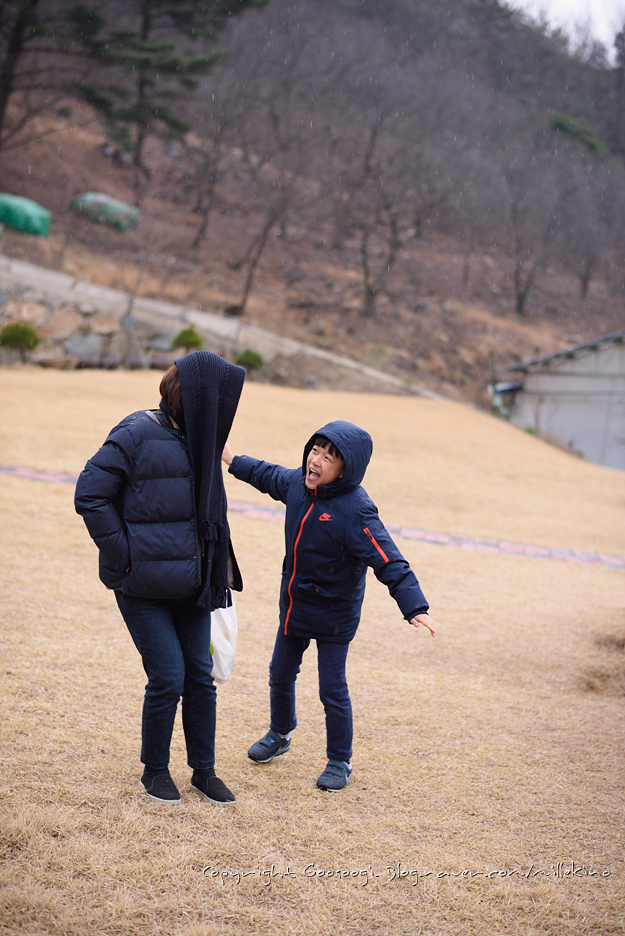 내화체험목장 이미지