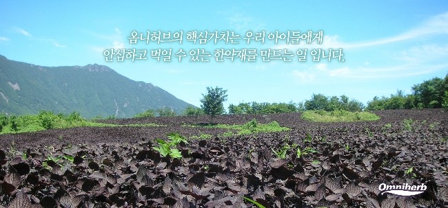 보광한의원 이미지