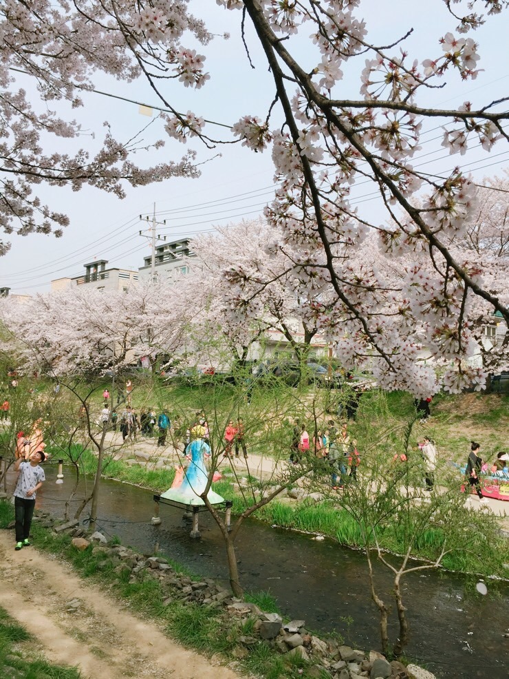 파리바게뜨삼호점 이미지
