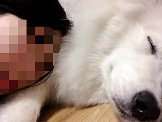 개편한까페 이미지