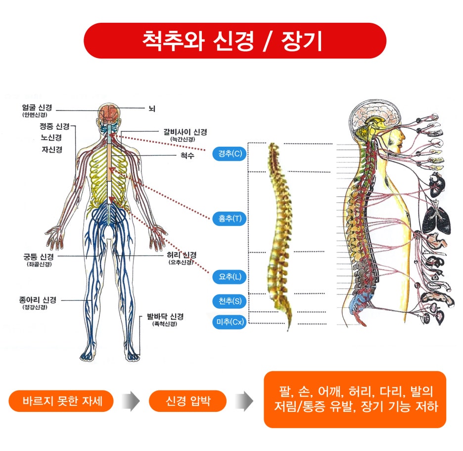 알즈너 명품발 대리점 이미지