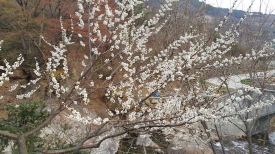 백운산민박 이미지