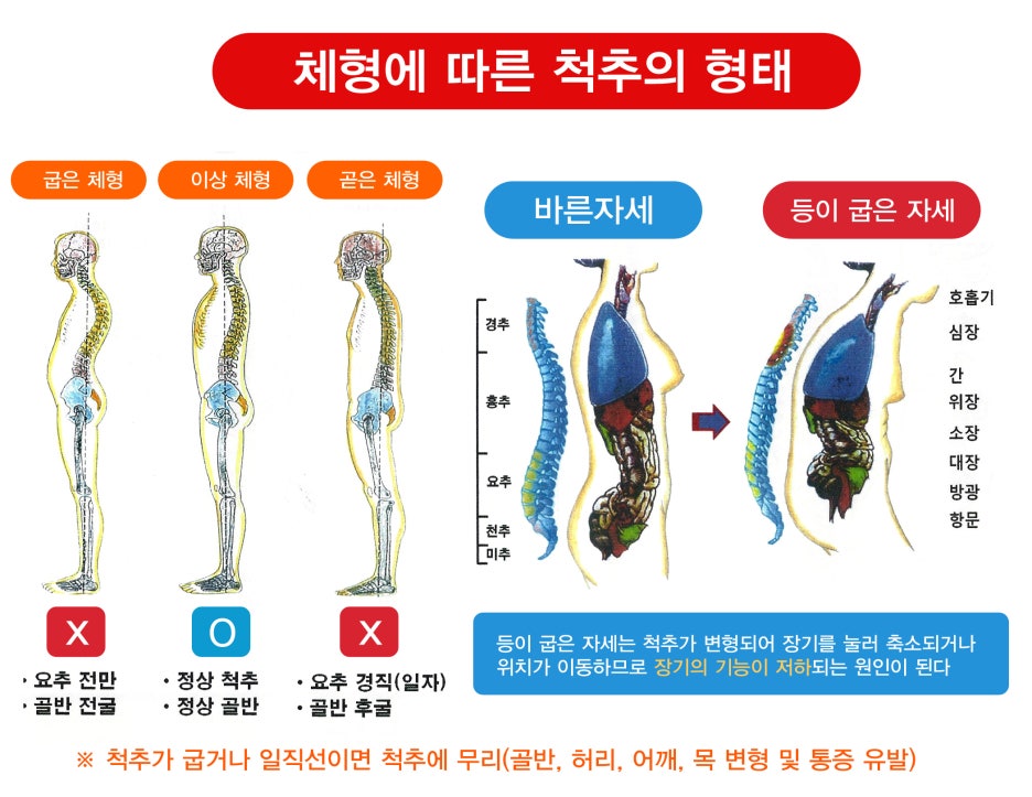 알즈너 명품발 대리점 이미지