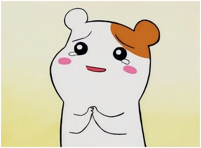 대한인테리어 이미지