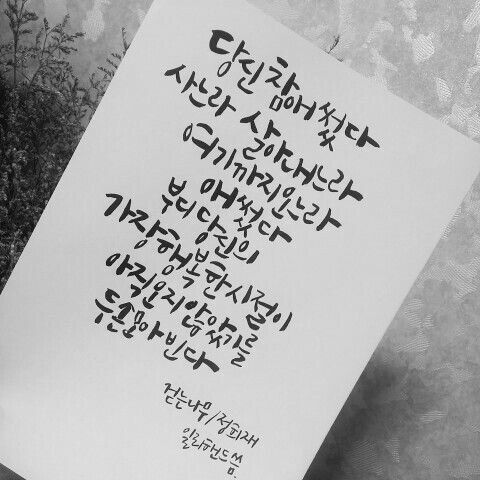 루시스타 이미지