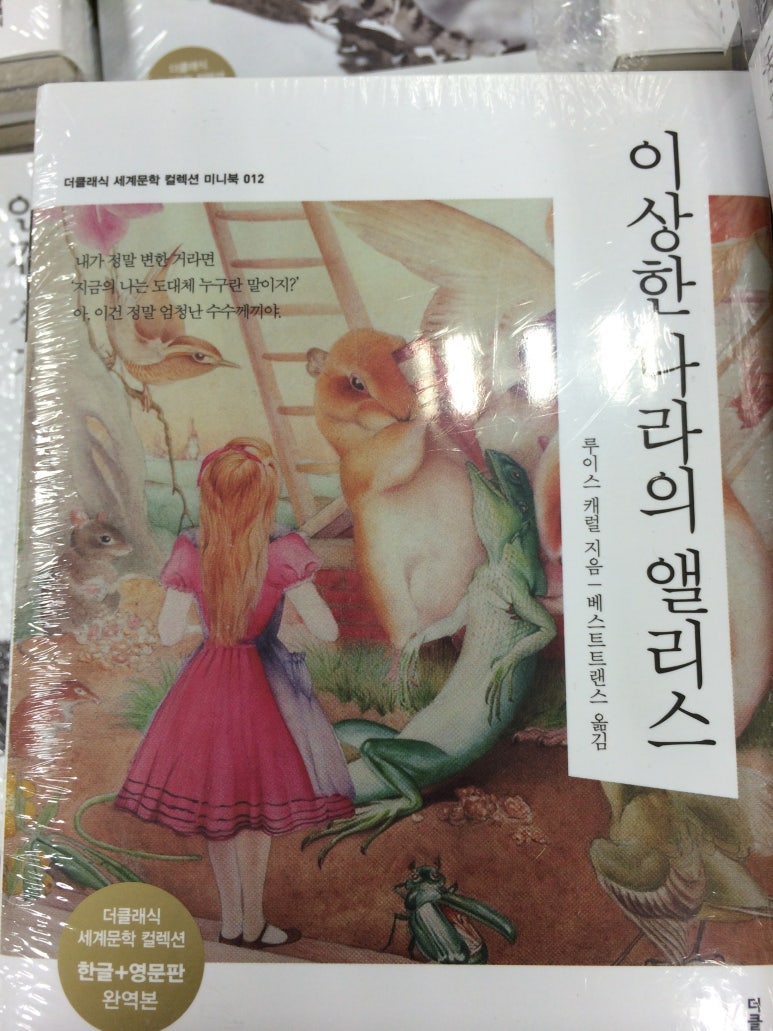디자인나라앨리스 이미지