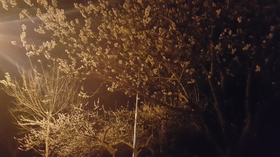 백운산민박 이미지