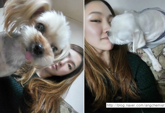 또치PC 이미지