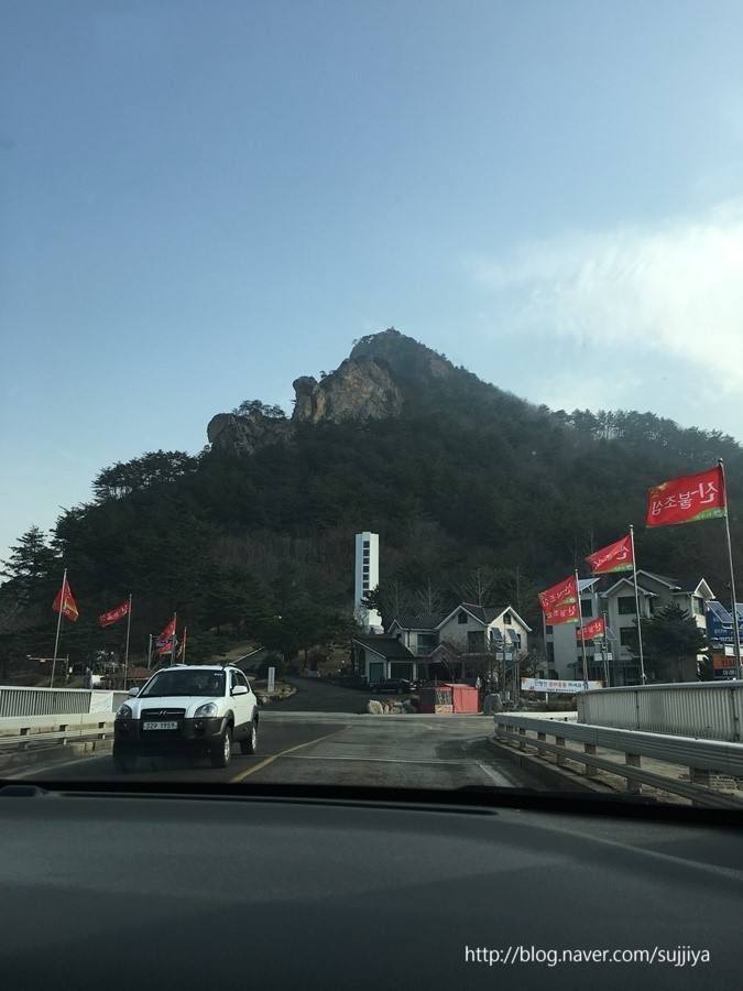 소나무수산 이미지