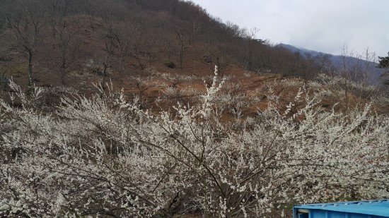 백운산민박 이미지
