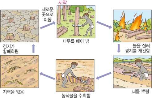 벌채지역 이미지