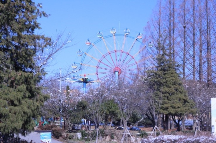 놀이동산 이미지