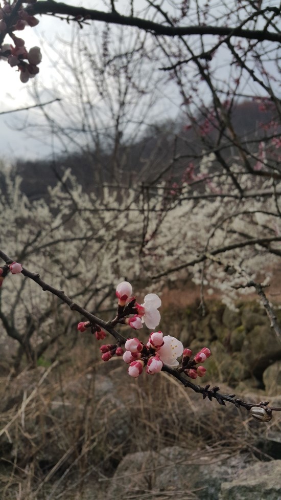 백운산민박 이미지