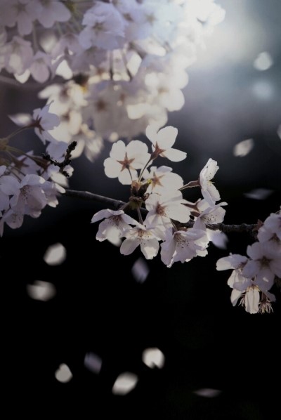 김*섭 이미지