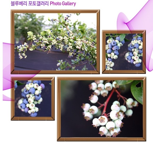 성일농장 이미지