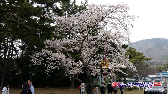 (주)한창관광여행사 이미지