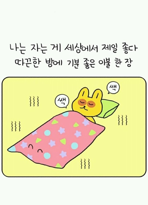 뚠뚜니네 이미지