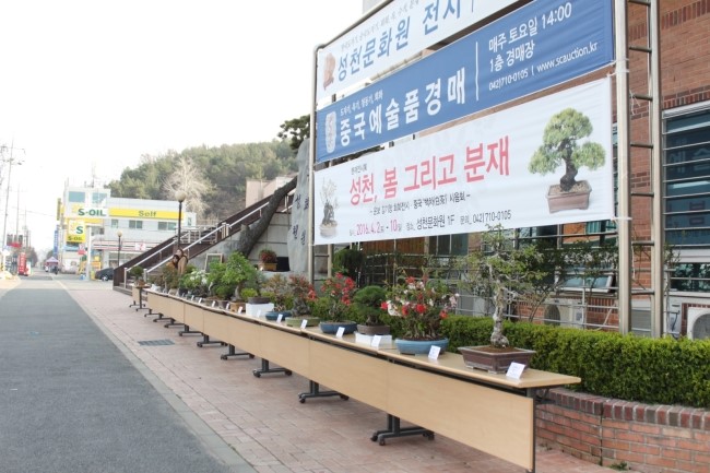 성천분재 이미지