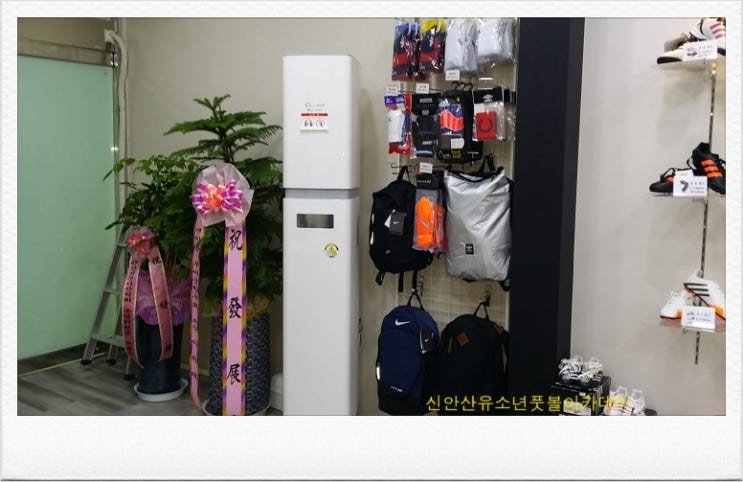 신안산유소년풋볼아카데미 이미지