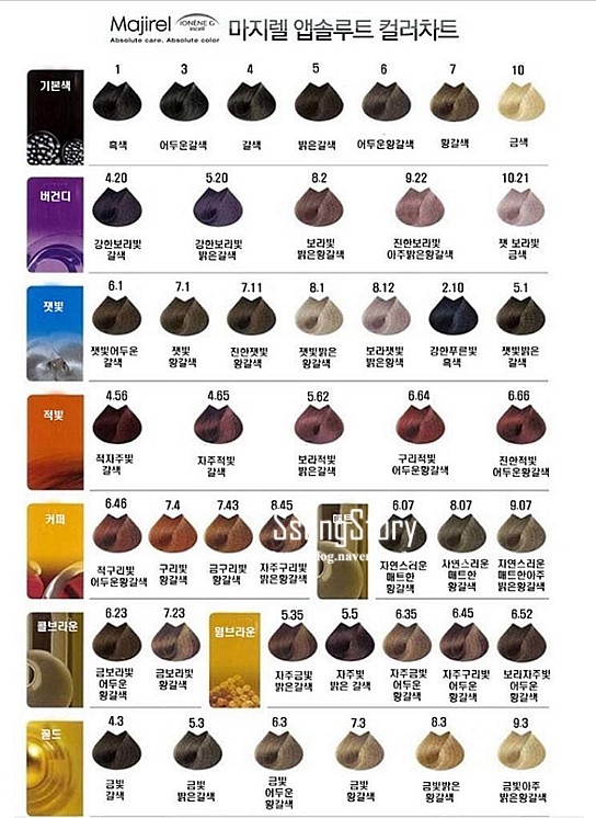 쏭스토리 이미지
