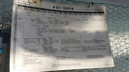 영일농장 이미지