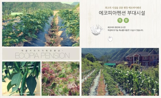 에코피아펜션 이미지