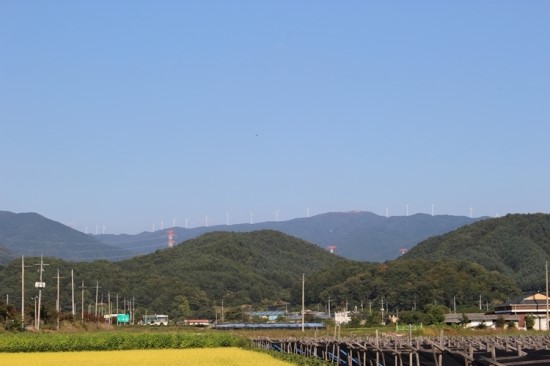 고고씽펜션 이미지