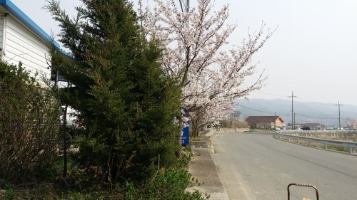 박선녀한과 이미지