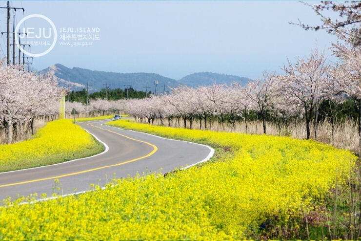 축제노래연습장 이미지