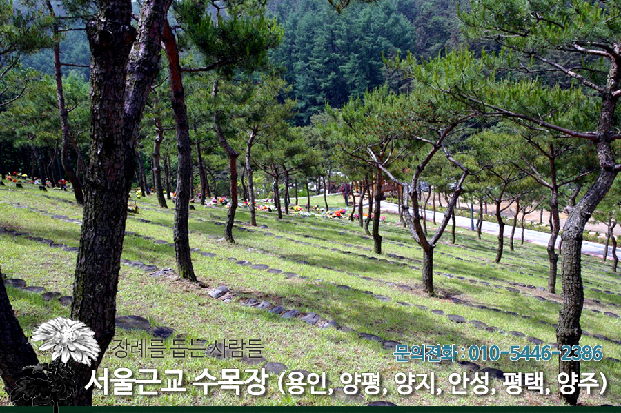장례를돕는사람들 이미지