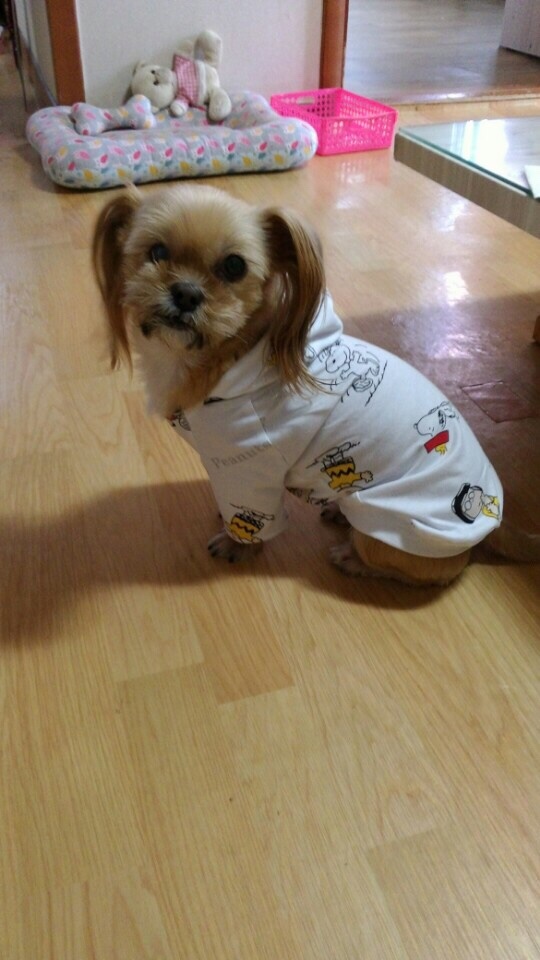 신흥미싱 이미지